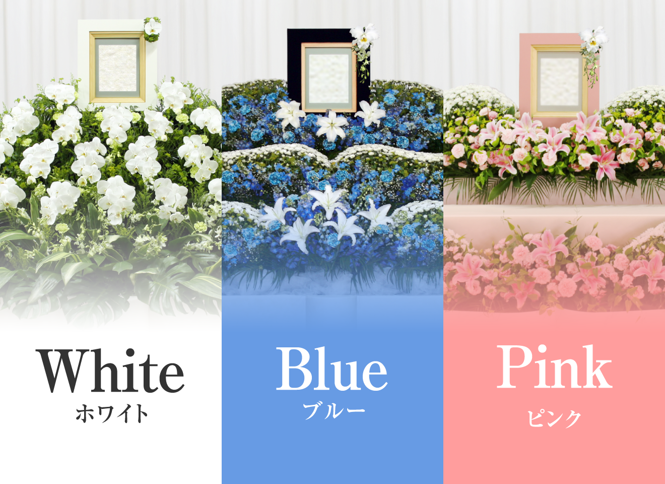 ホワイト、ブルー、ピンク